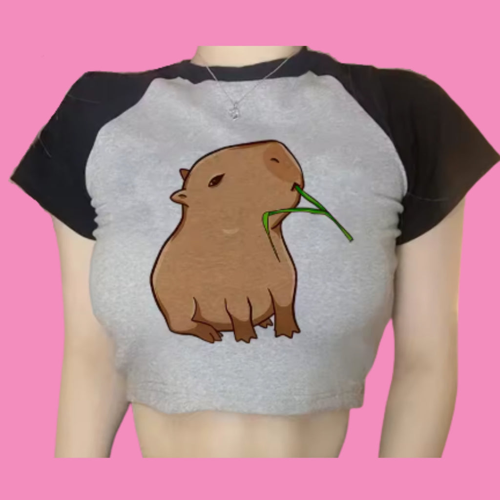 Capybara-Motiv auf pinkem Hintergrund